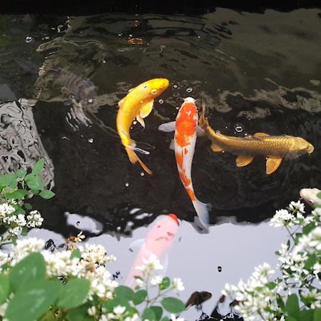 Vuon Tra Homestay Mang Den Kon Von Kla 外观 照片