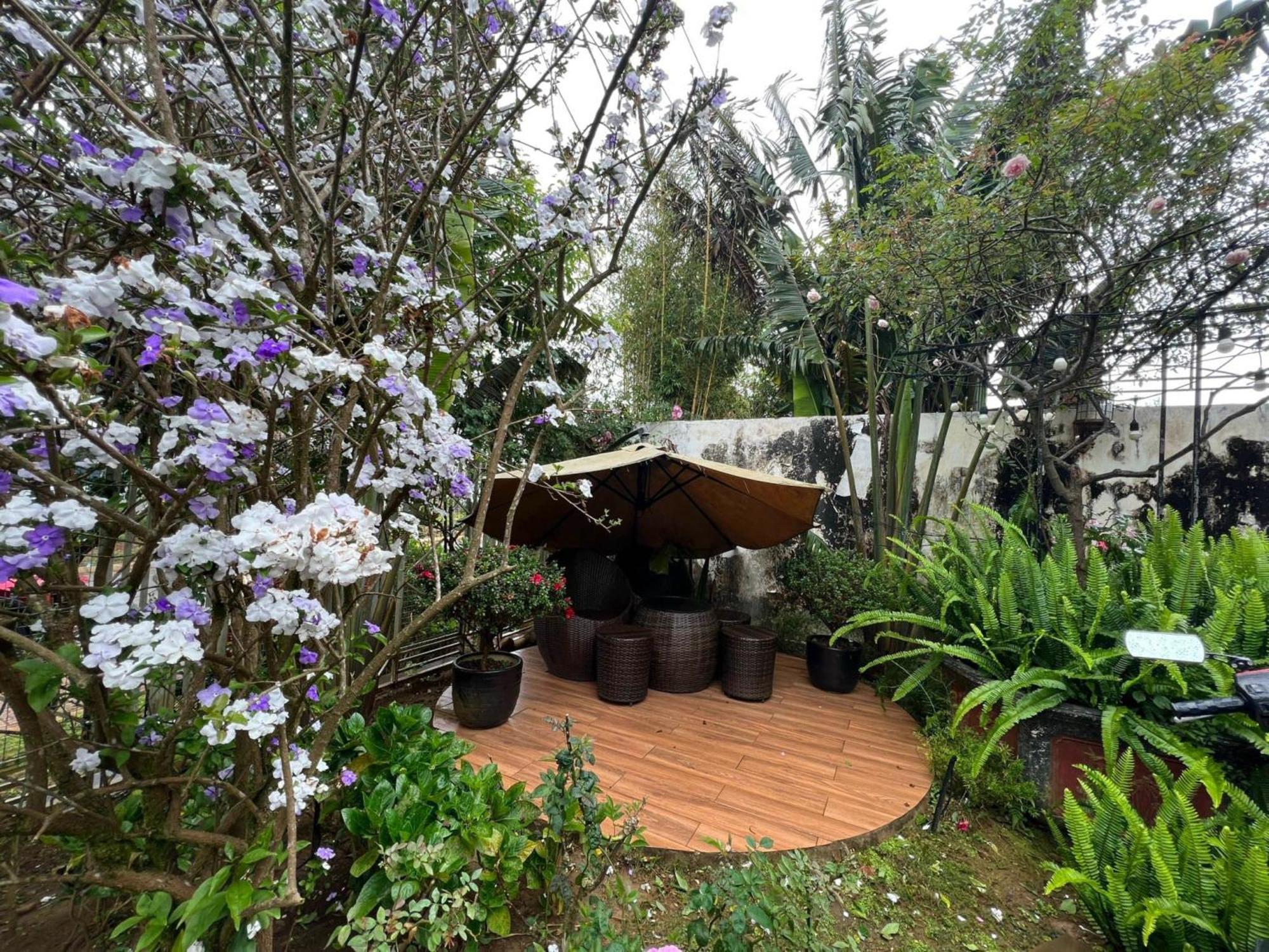 Vuon Tra Homestay Mang Den Kon Von Kla 外观 照片