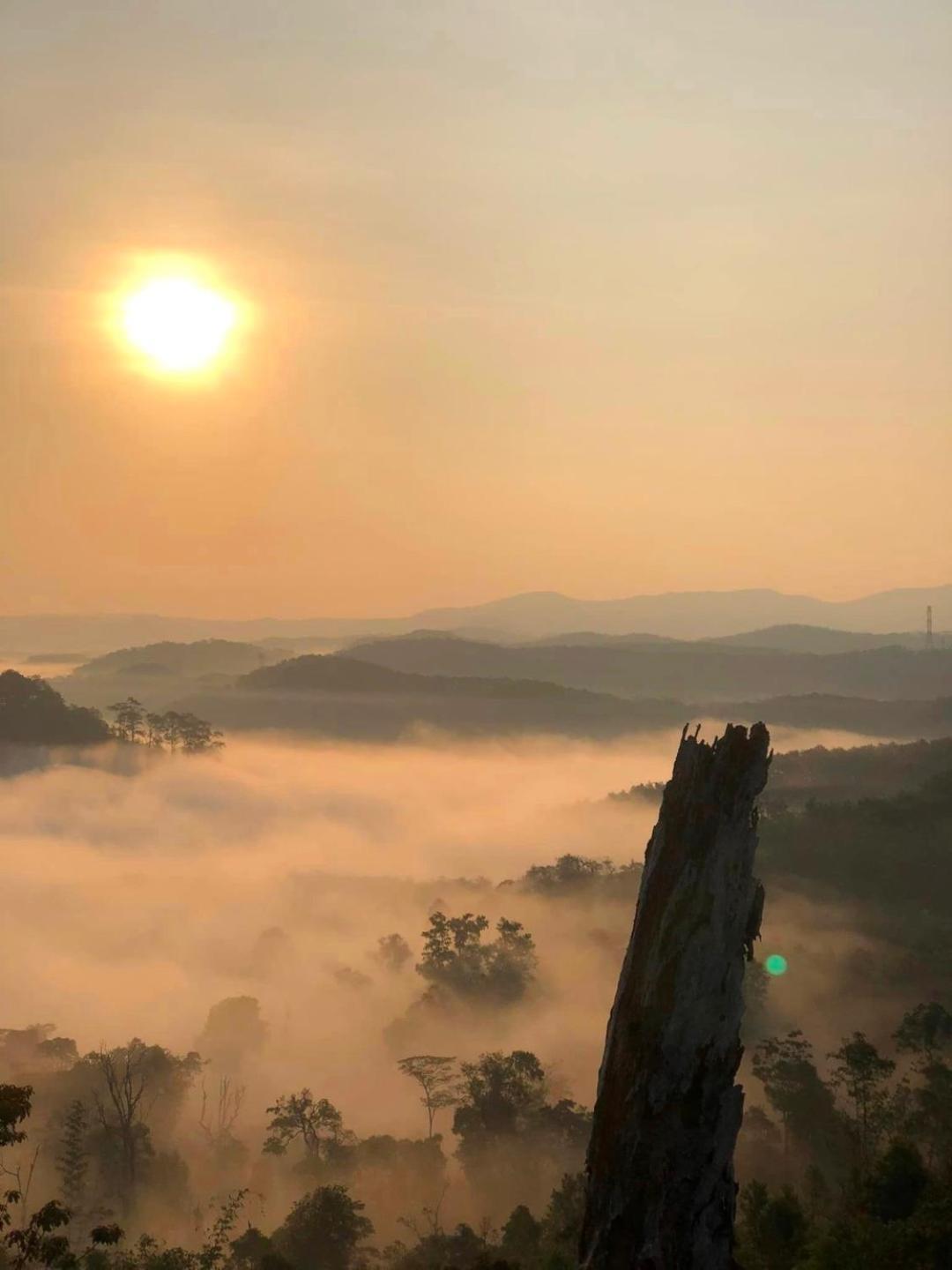 Vuon Tra Homestay Mang Den Kon Von Kla 外观 照片