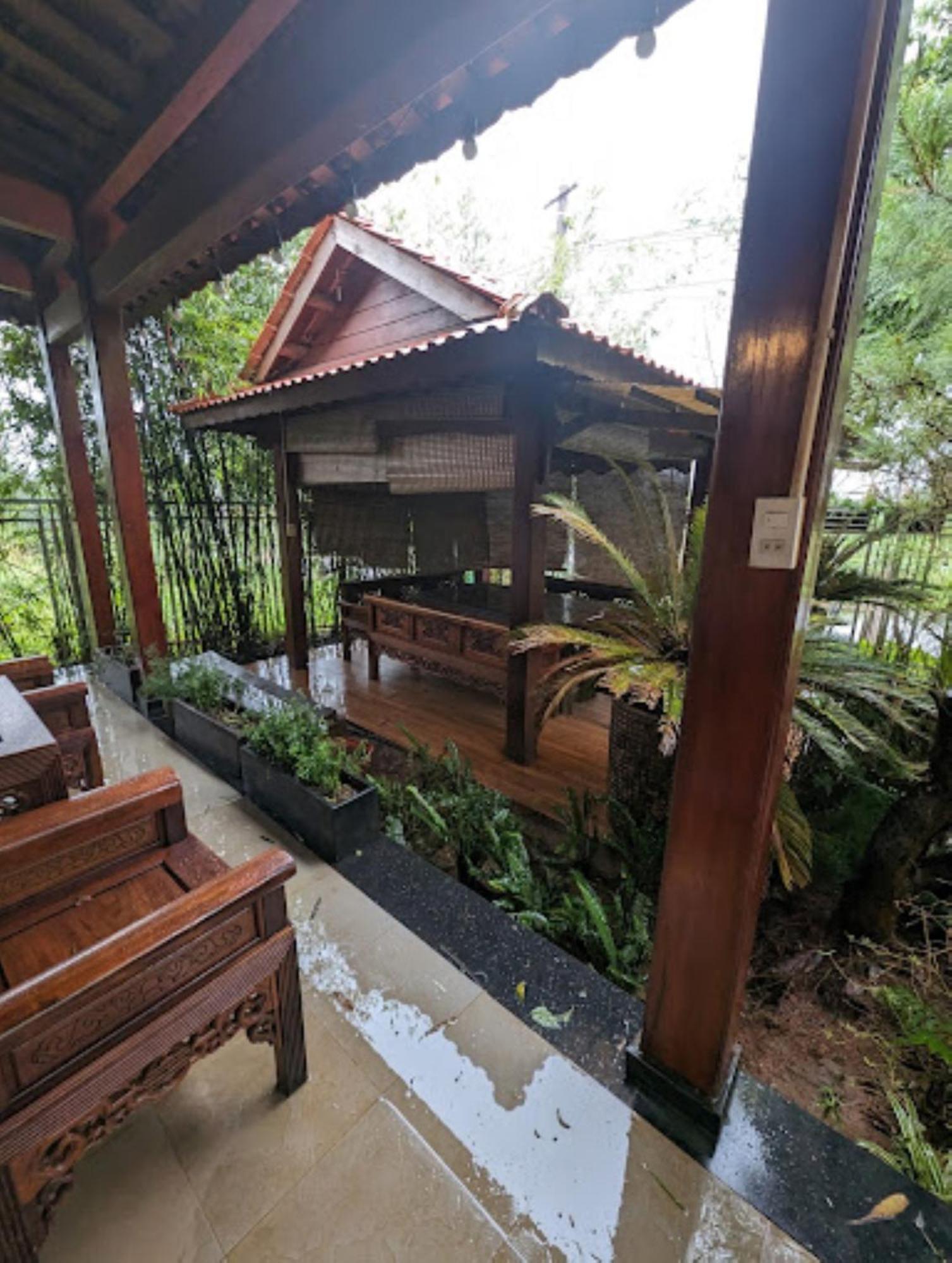 Vuon Tra Homestay Mang Den Kon Von Kla 外观 照片